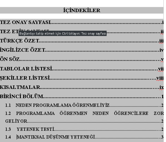 İstenilen içindekiler sayfası